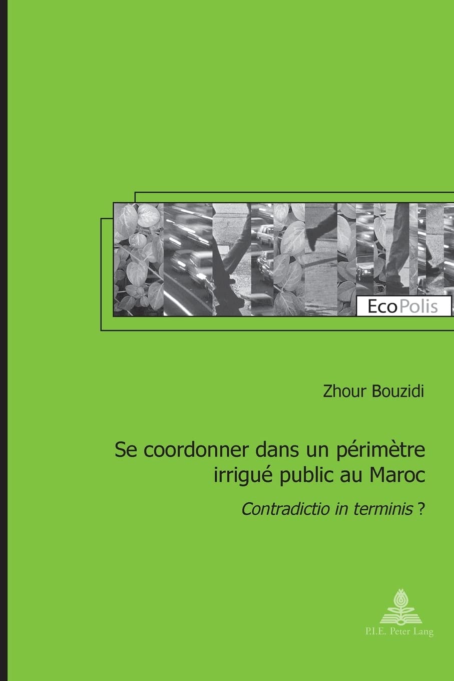 Se coordonner dans un périmètre irrigué public au Maroc: Contradictio in terminis ? book