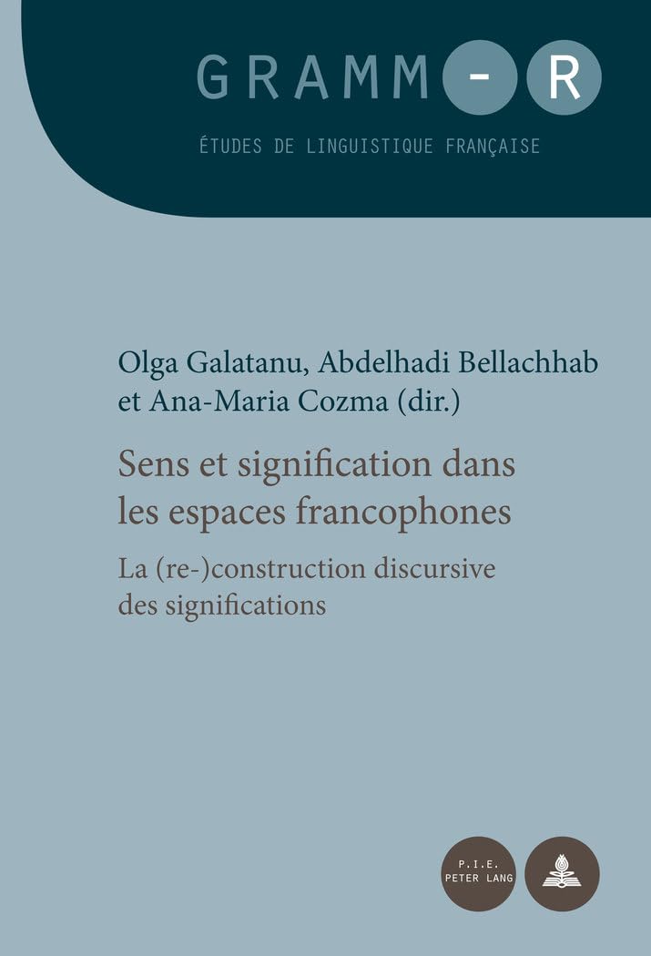 Sens et signification dans les espaces francophones: La (re-)construction discursive des significations book