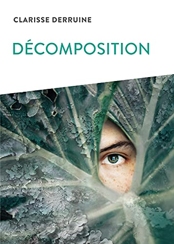 Décomposition Contemporary literature