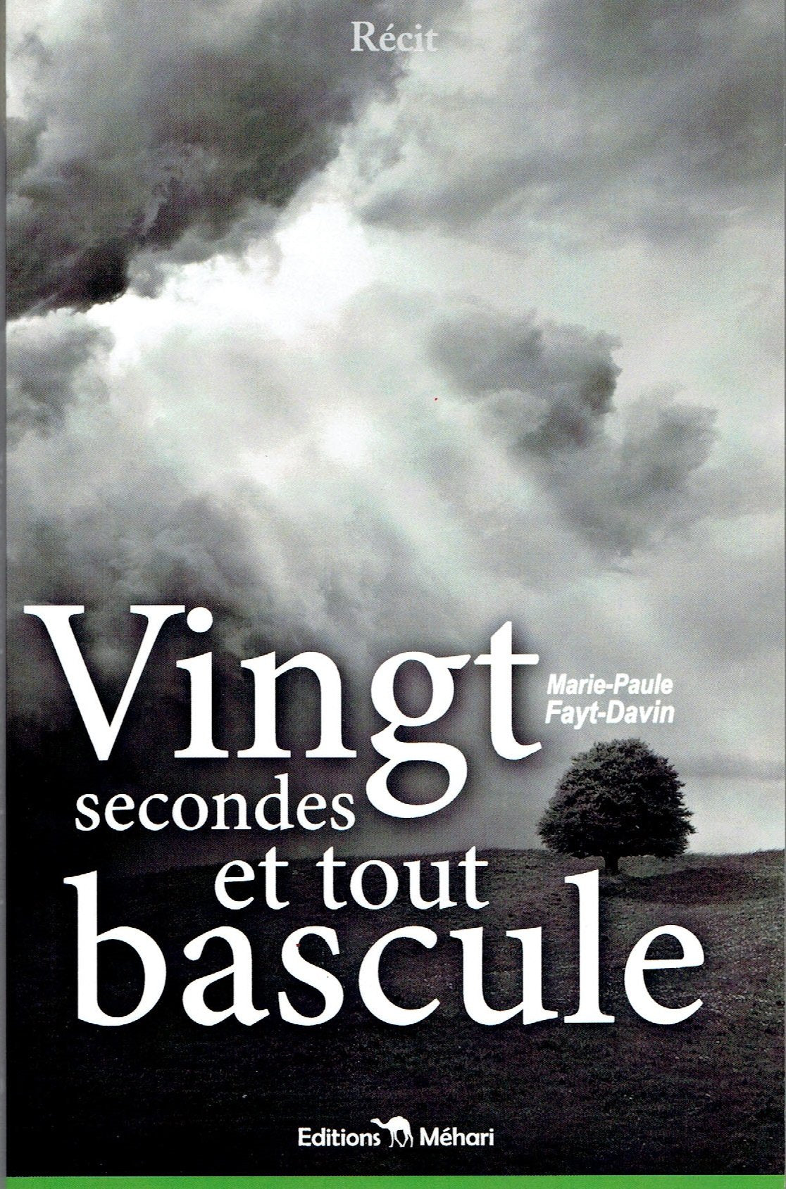 Vingt secondes et tout bascule Books