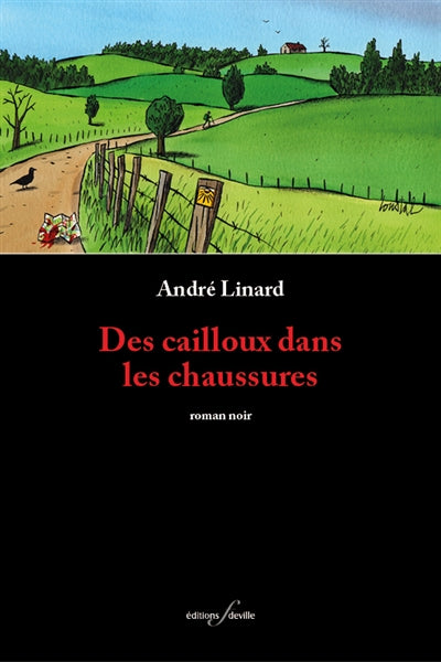 Product Image: Des cailloux dans les chaussures