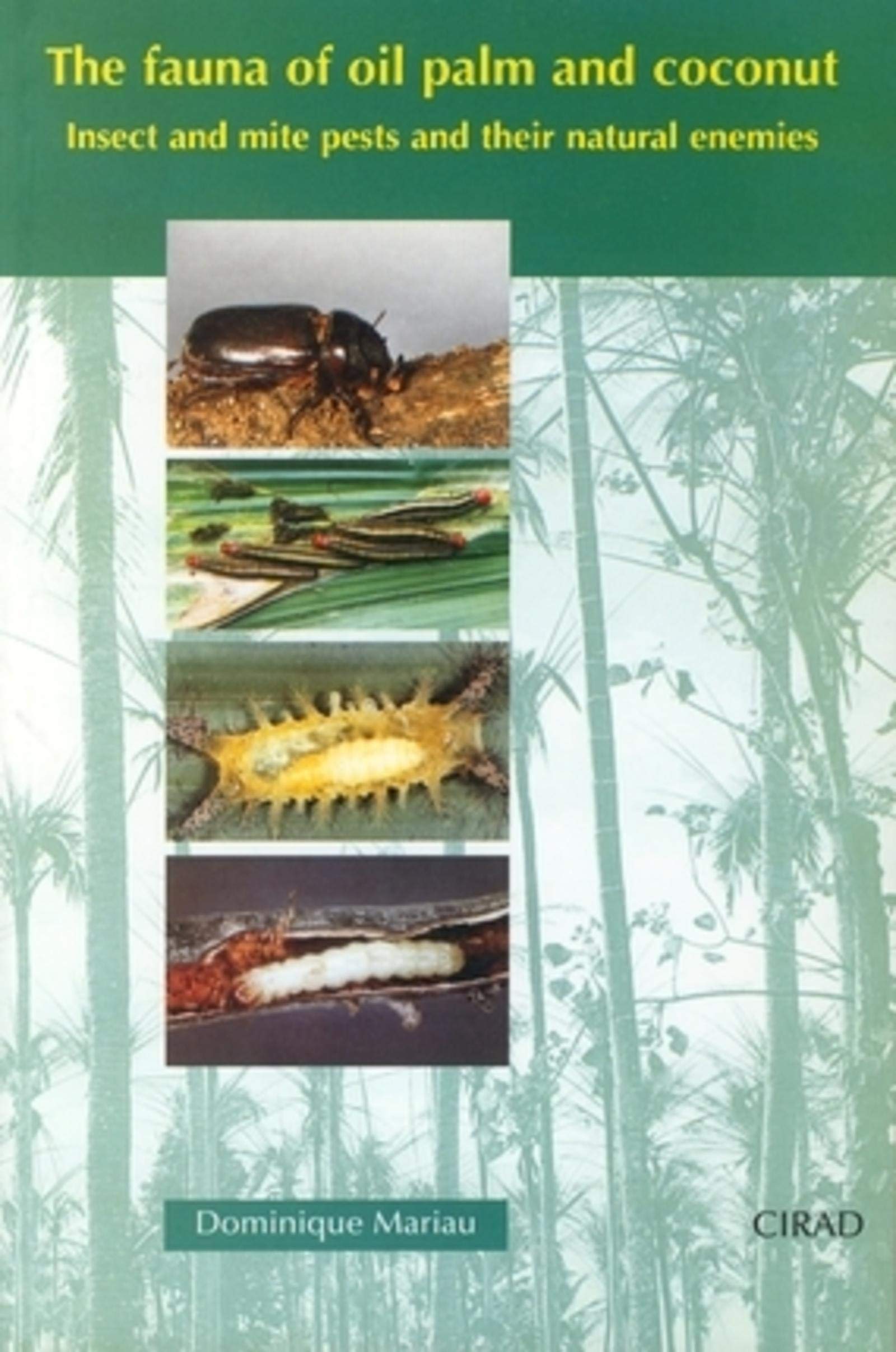 The fauna of oil palm and coconut: Insect and mite pests and their natural enemies book