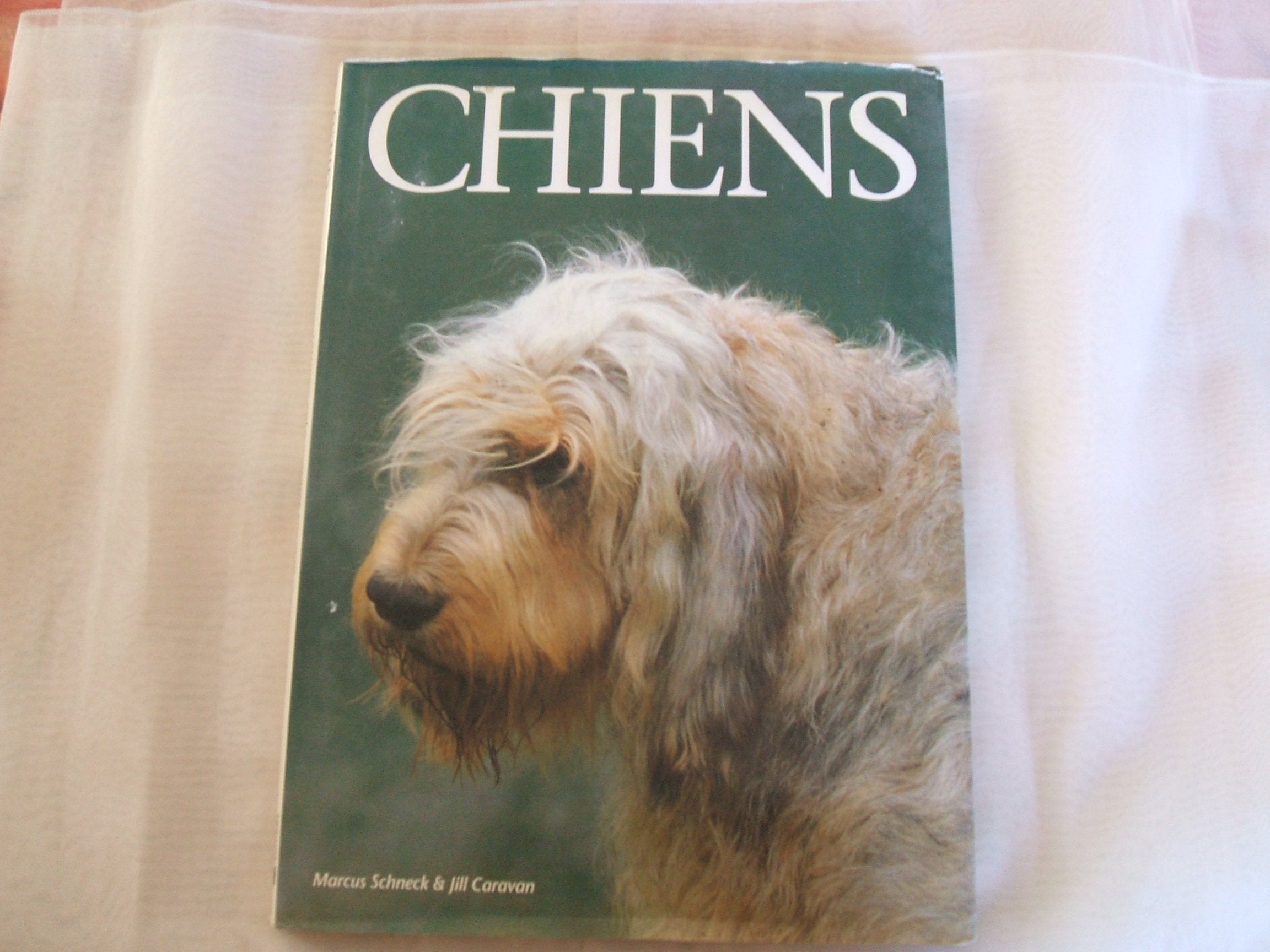 chiens - portraits du monde animal dvd