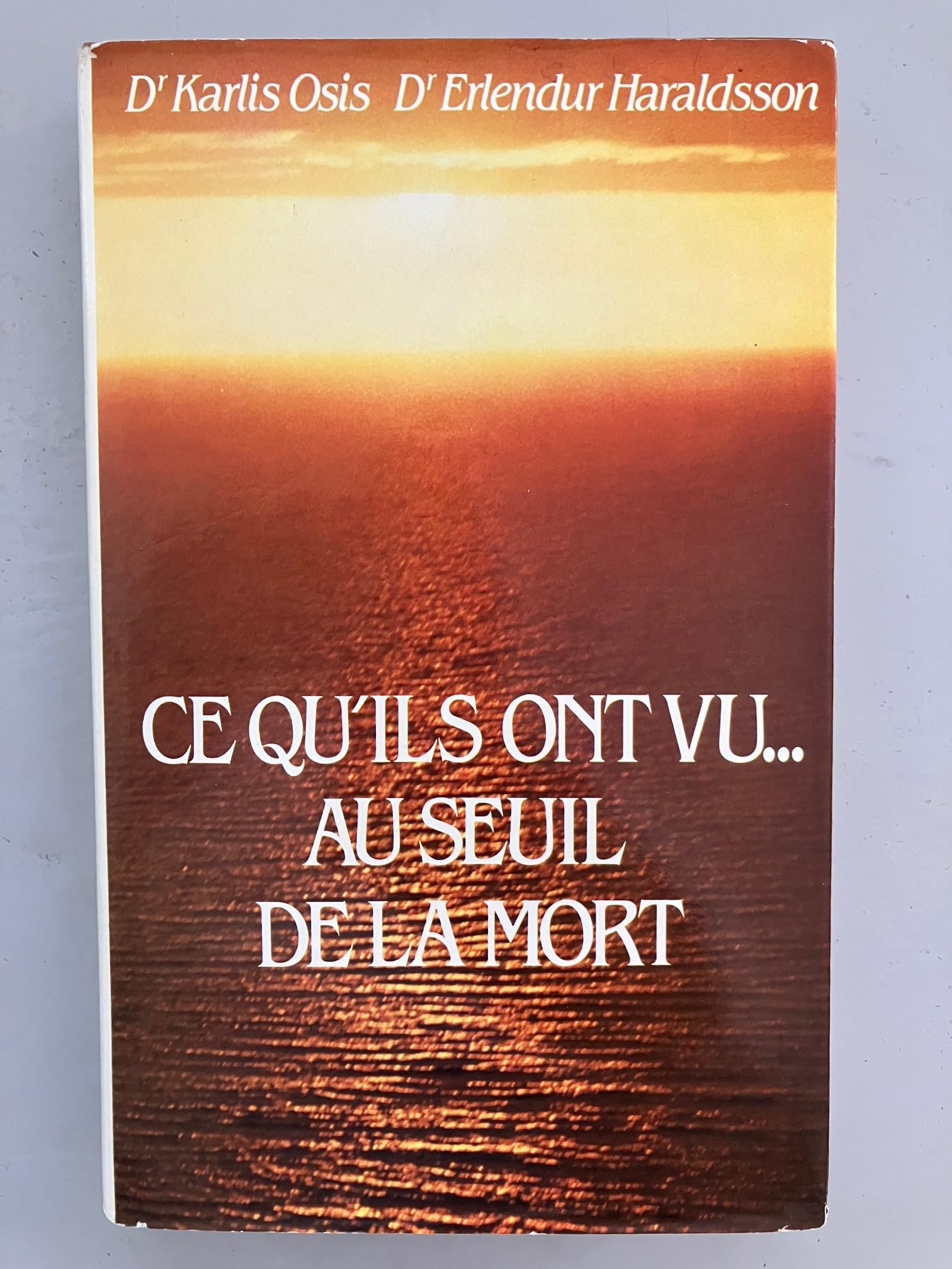 Ce qu'ils ont vu au seuil de la mort book