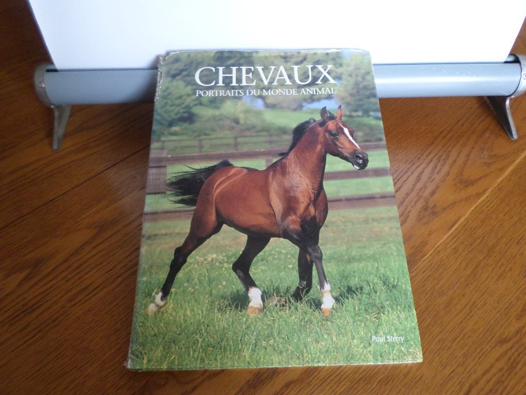 chevaux portraits du monde animal 92 illustrations en couleurs book