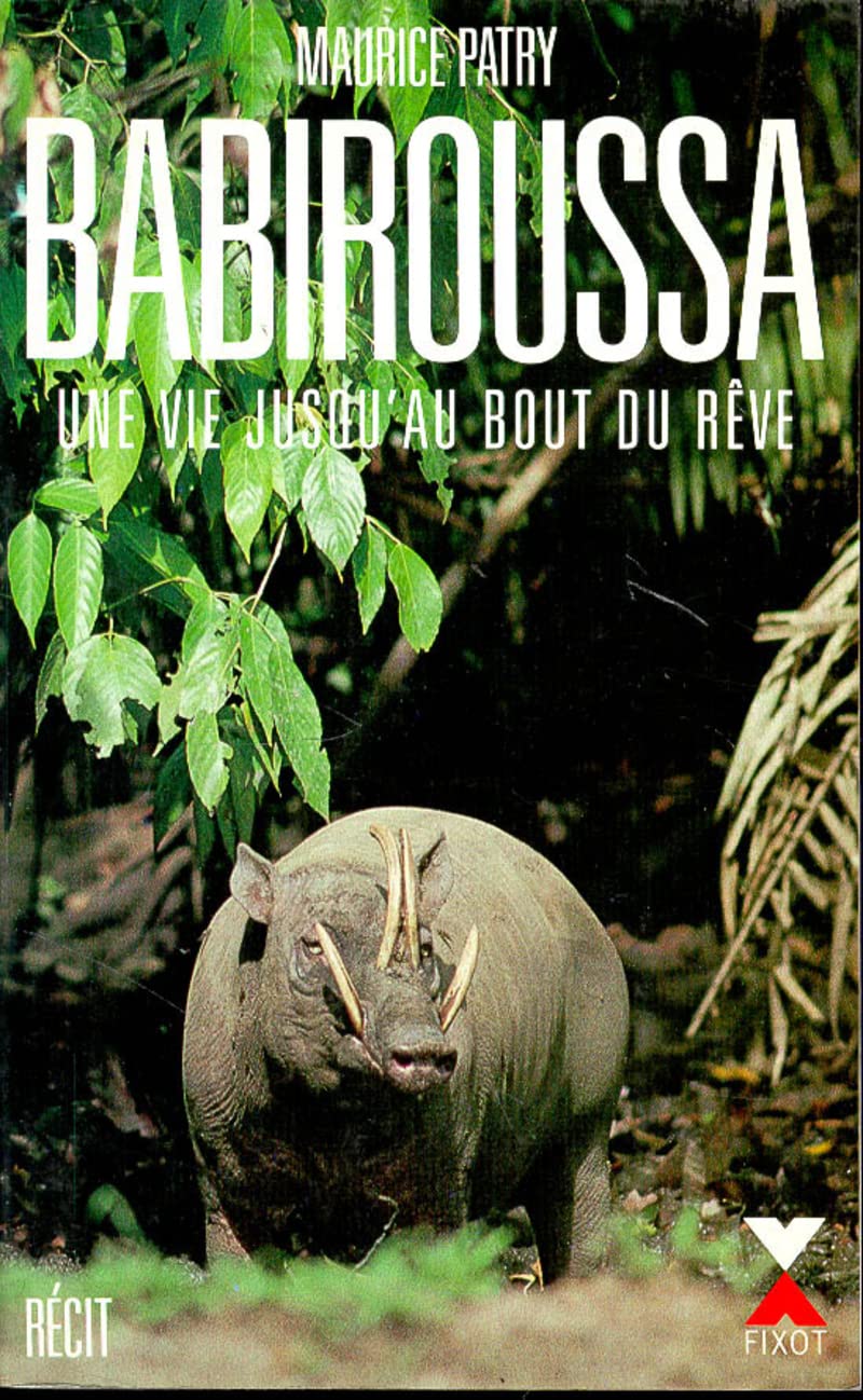 Babiroussa une vie jusqu'au bout du rêve Memories