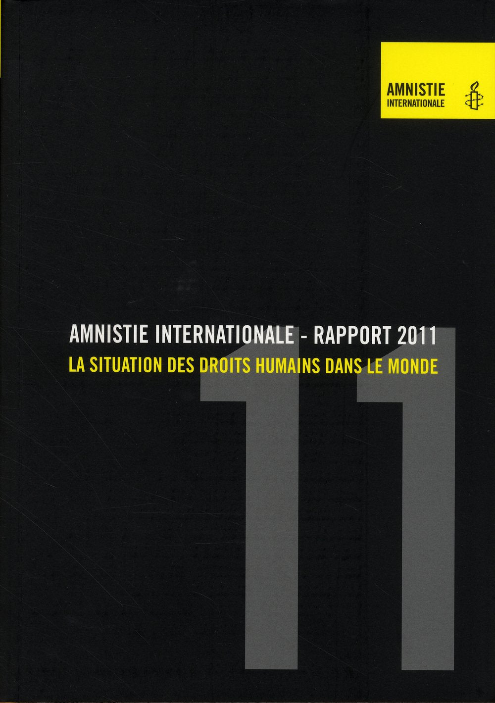 Rapport 2011: La situation des droits humains dans le monde book