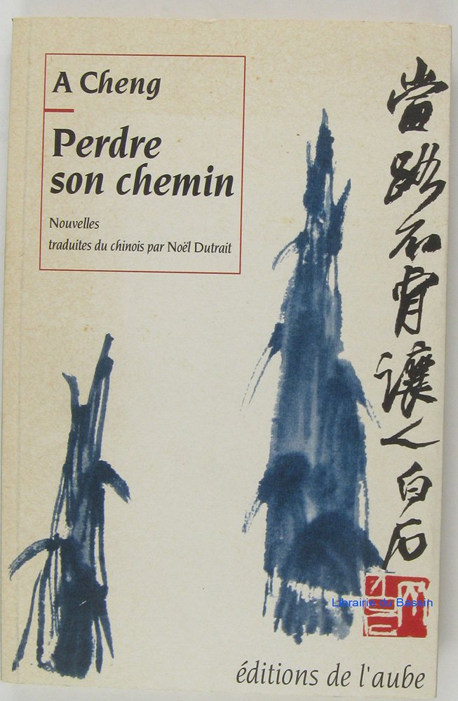 Perdre son chemin Books