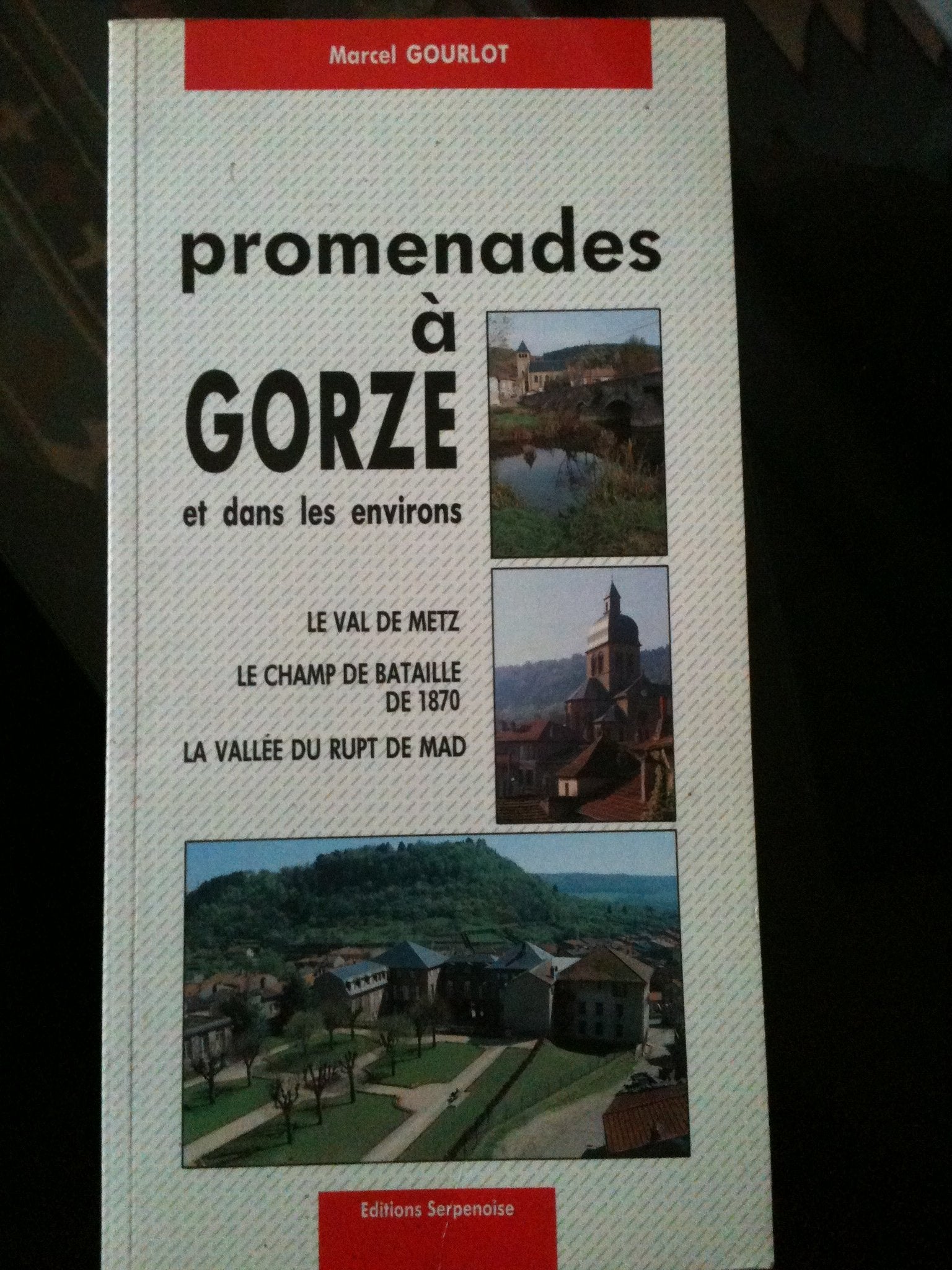 Promenades à Gorze et dans les environs (le val de ... Book Books