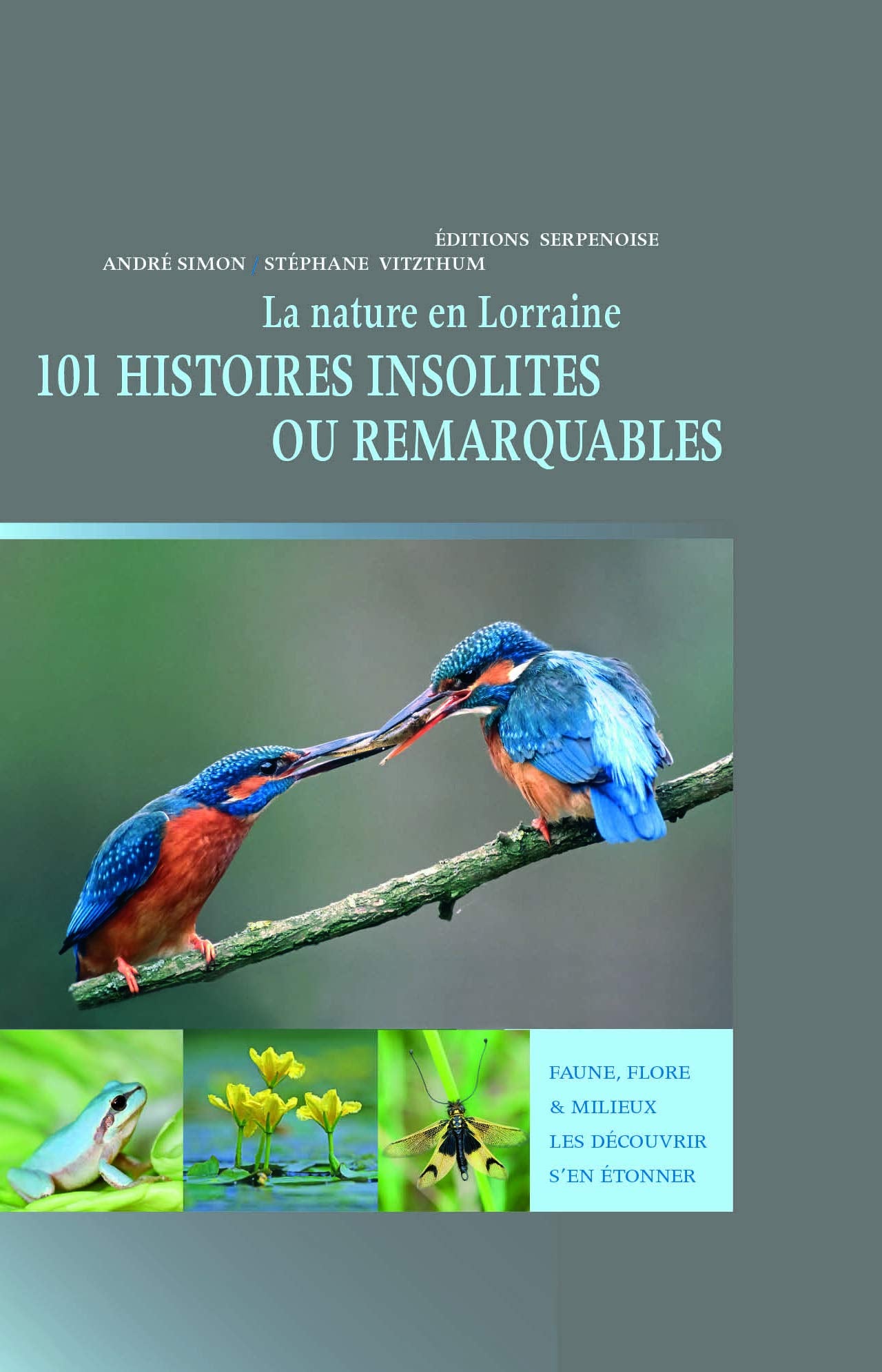 La nature en Lorraine : 101 Histoires insolites ou remarquables book