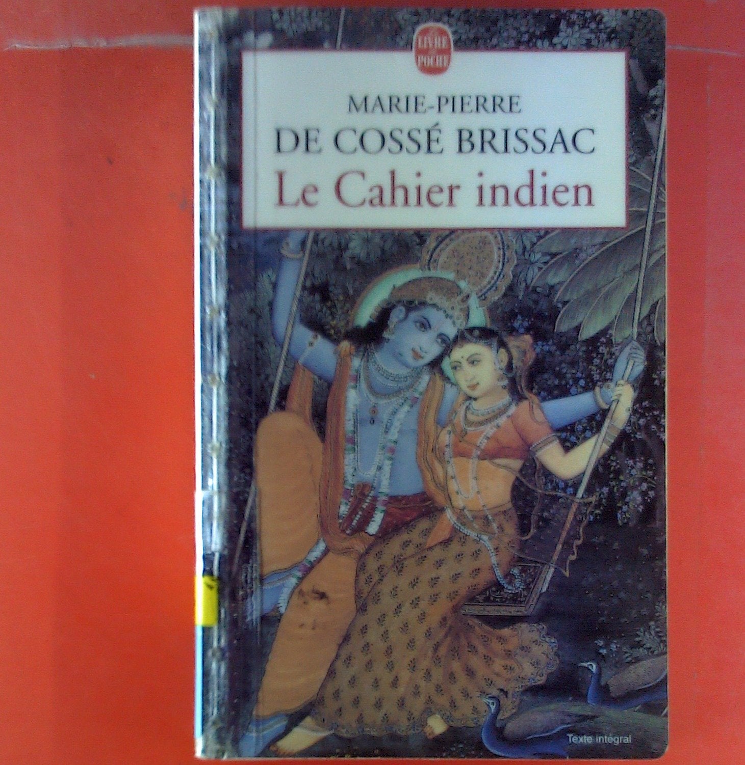 LE CAHIER INDIEN Contemporary literature