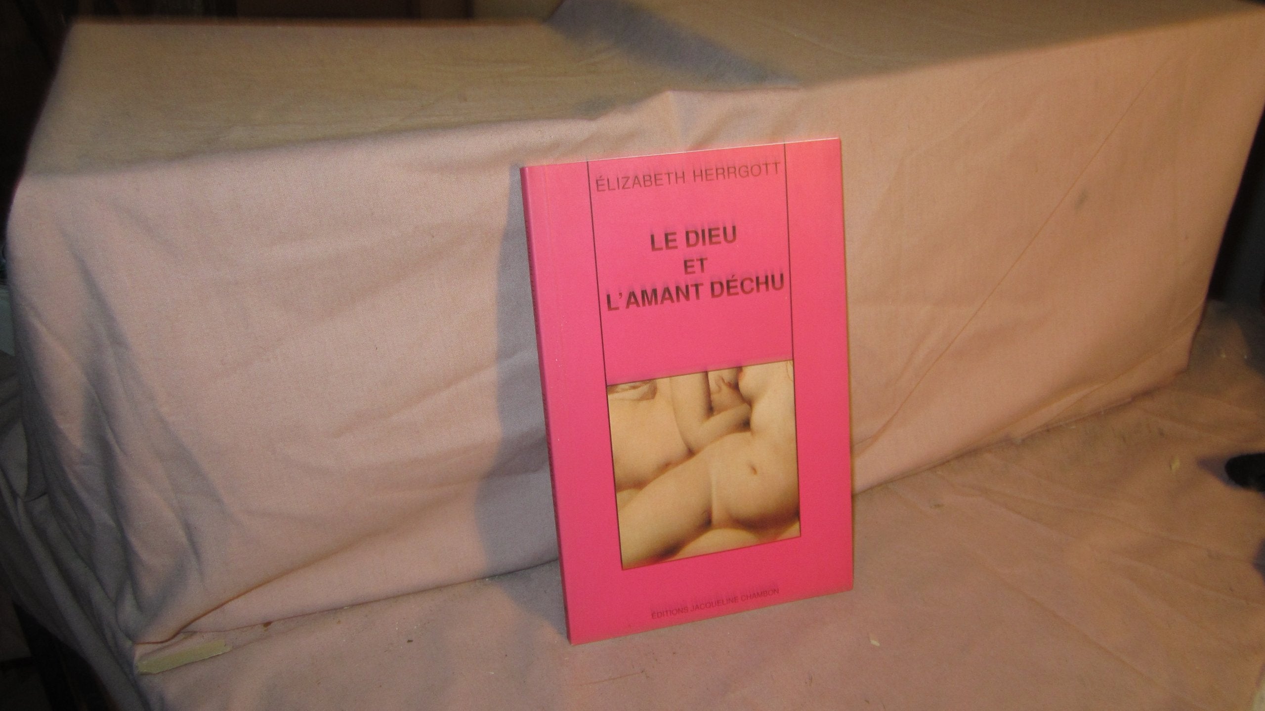 Le Dieu et l'amant déchu : roman érotique book