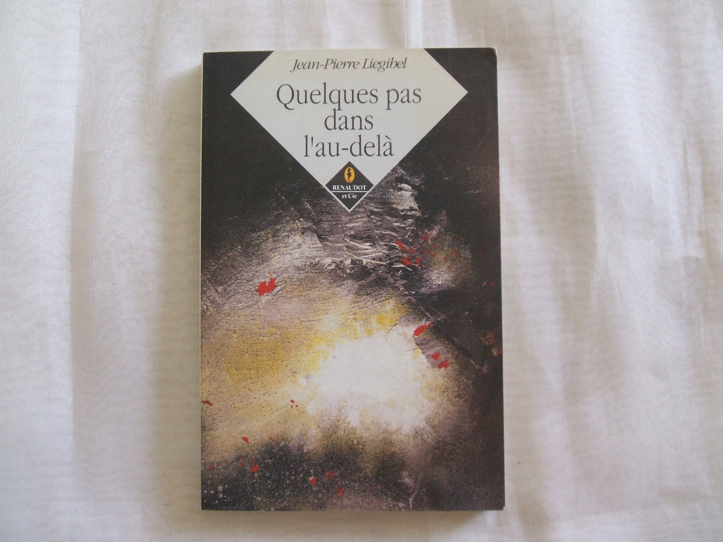 Quelques pas dans l'au-delà : recit Books