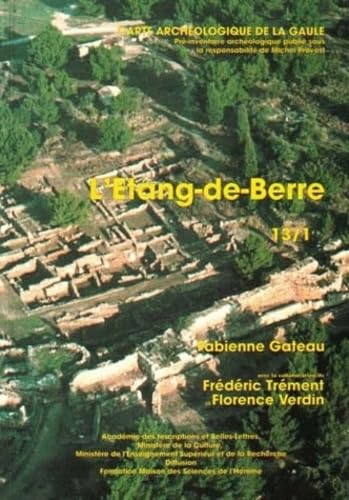Carte archéologique de la Gaule. Vol. 13-1. Etang de Berre : Bouches-du-Rhône book