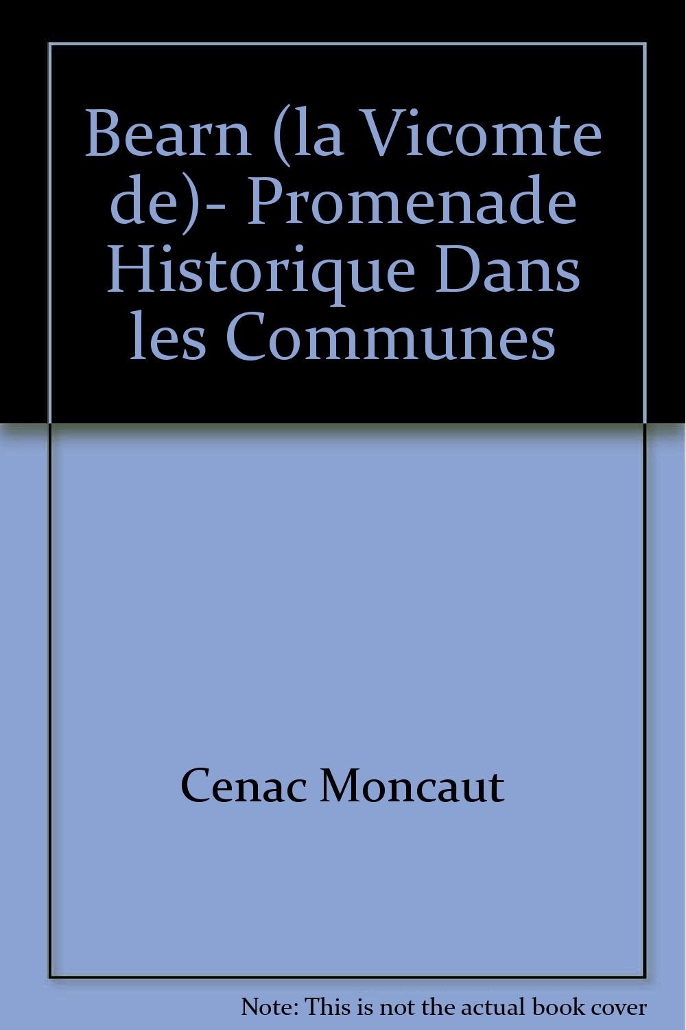 Le Béarn - voyage archéologique et historique dans l'ancienne vicomté book