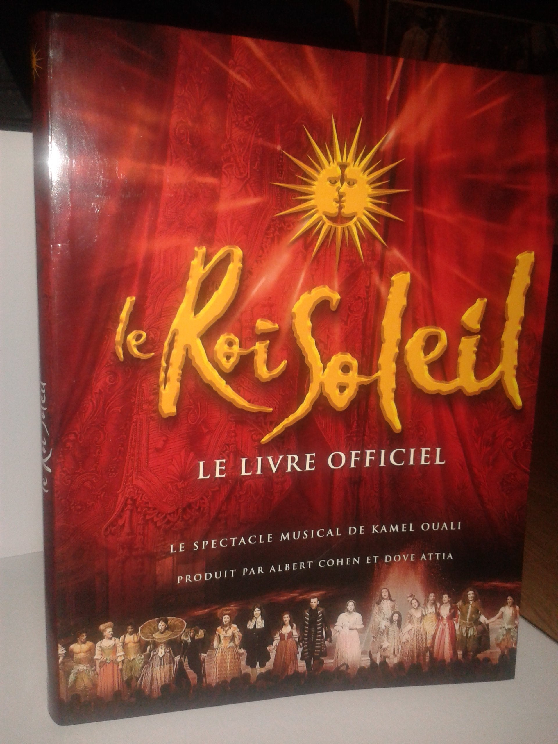 Le Roi Soleil: Le livre officiel Books