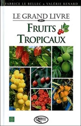 DES FRUITS TROPICAUX Film, Art & Culture