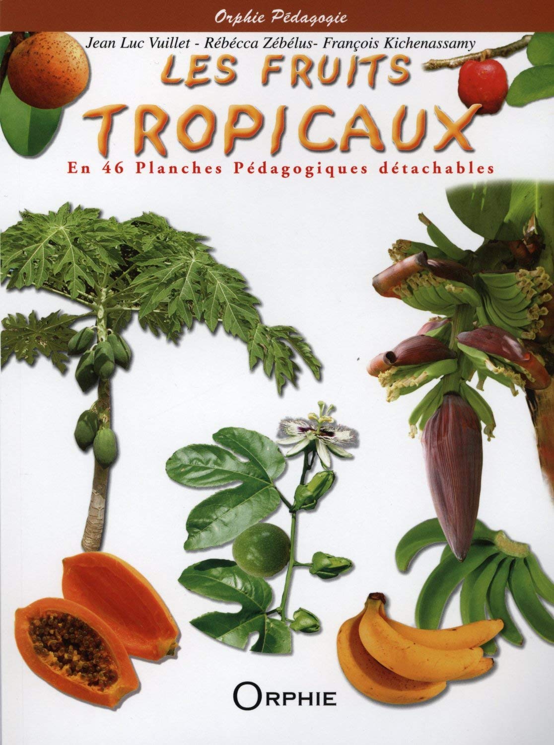 Les fruits tropicaux : En 46 planches pédagogiques détachables Film, Art & Culture