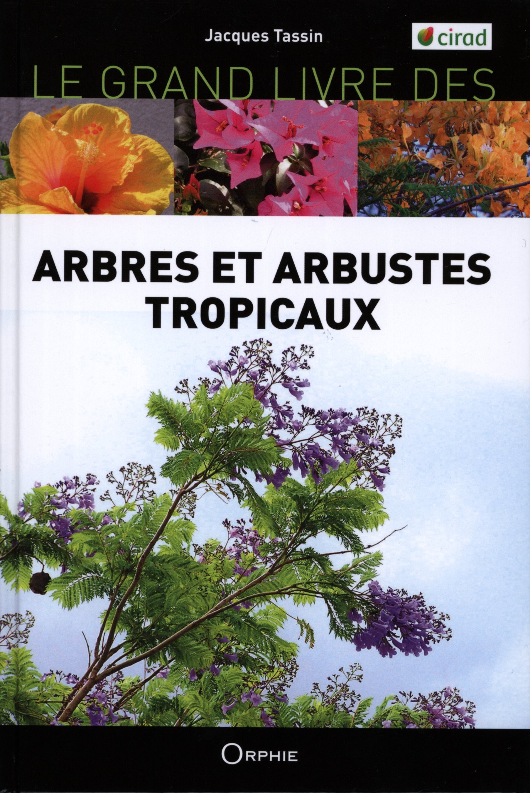 Le grand livre des arbres et arbustes introduits dans les îles tropicales Film, Art & Culture