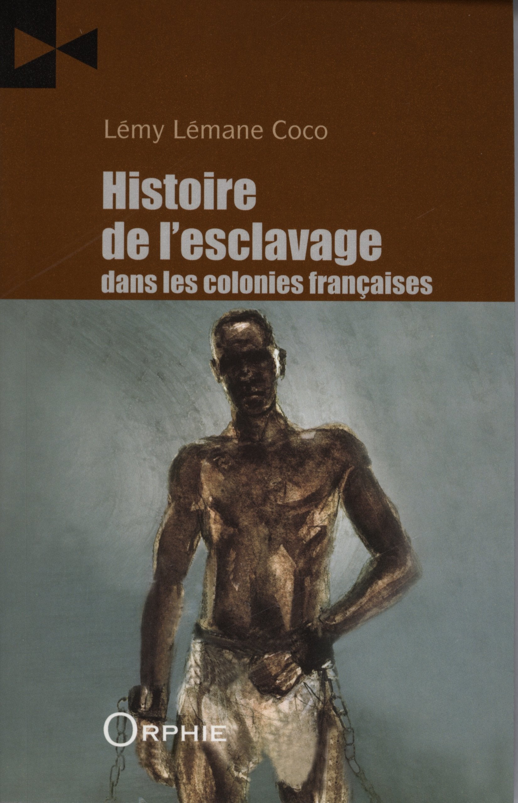 Histoire de l'esclavage dans les colonies françaises : Histoire des diasporas book