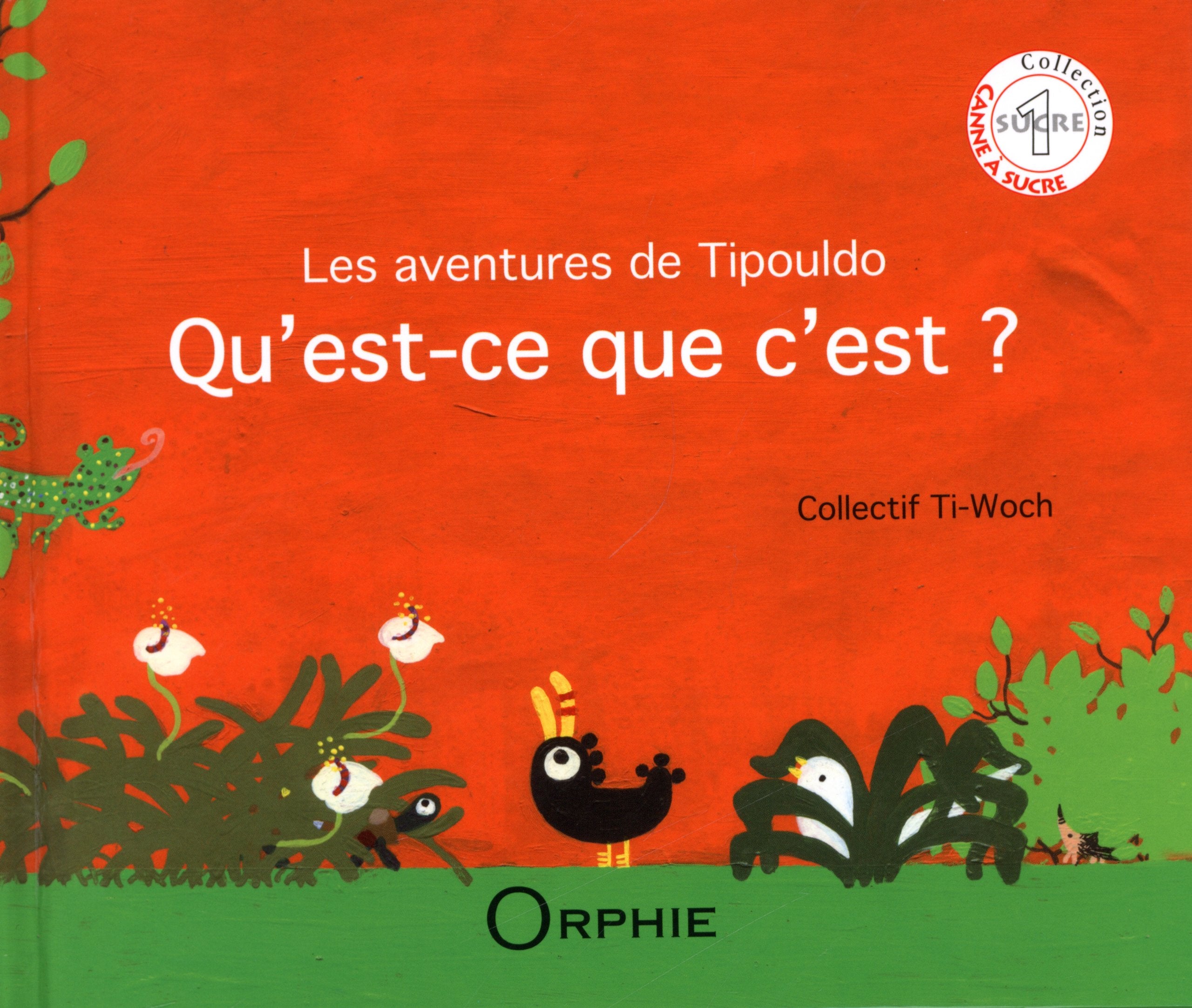 Les aventures de Tipouldo : Qu'est-ce que c'est ? book