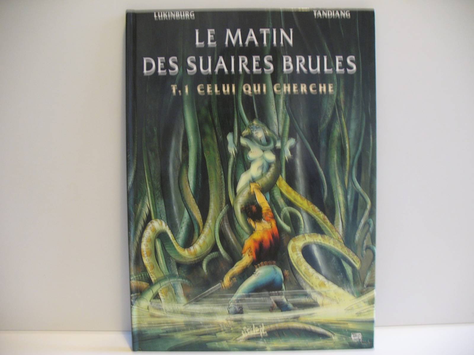 Le Matin des suaires brûlés, tome 1 : Celui qui cherche book