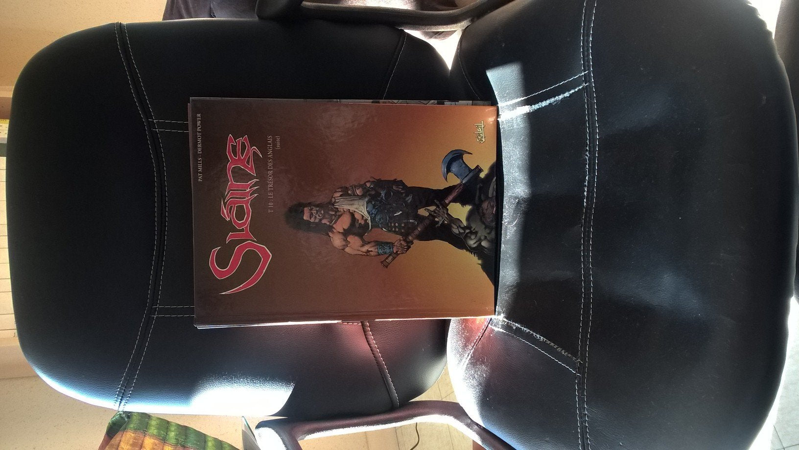 Slaine. Vol. 9. Le trésor des Britanniques book