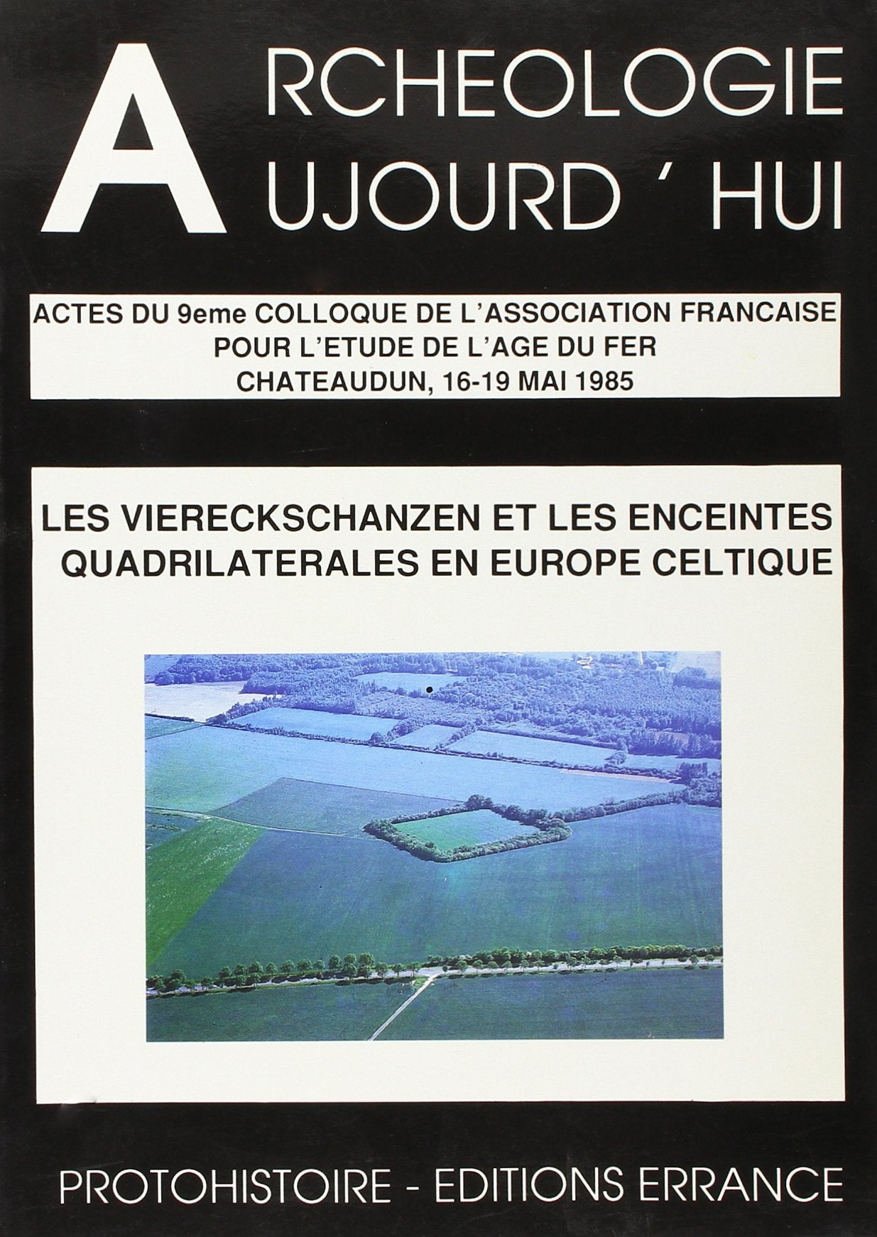 Les Viereckschanzen et les enceintes quadrilatérales en Europe celtique book