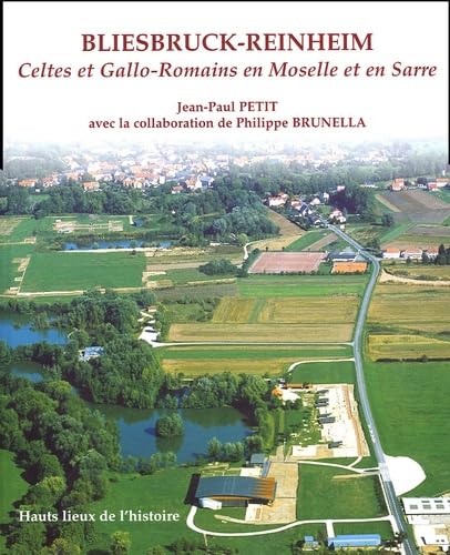 Bliesbruck-Reinheim : Celtes et Gallo-Romains en Moselle et en Sarre Natural Sciences