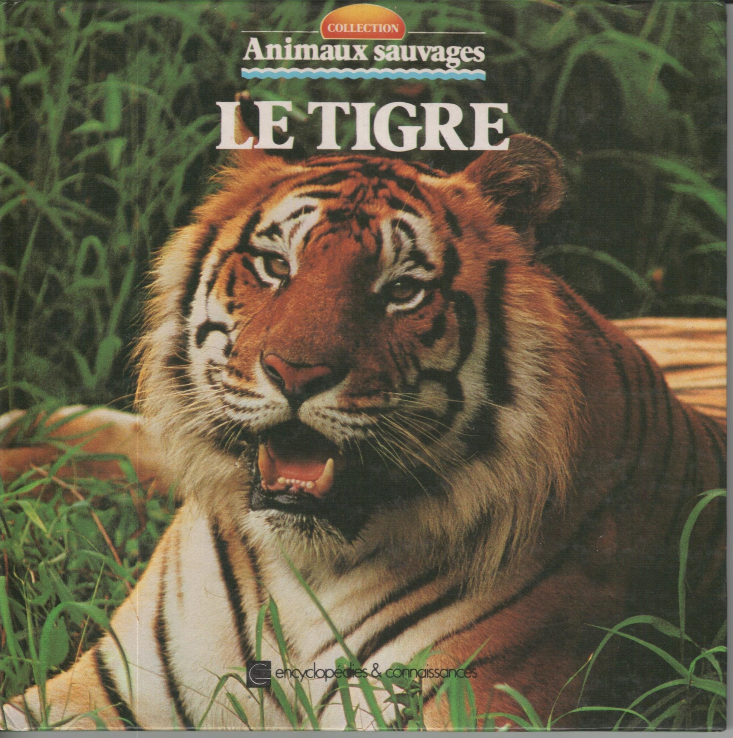 Animaux sauvages : Le Tigre book