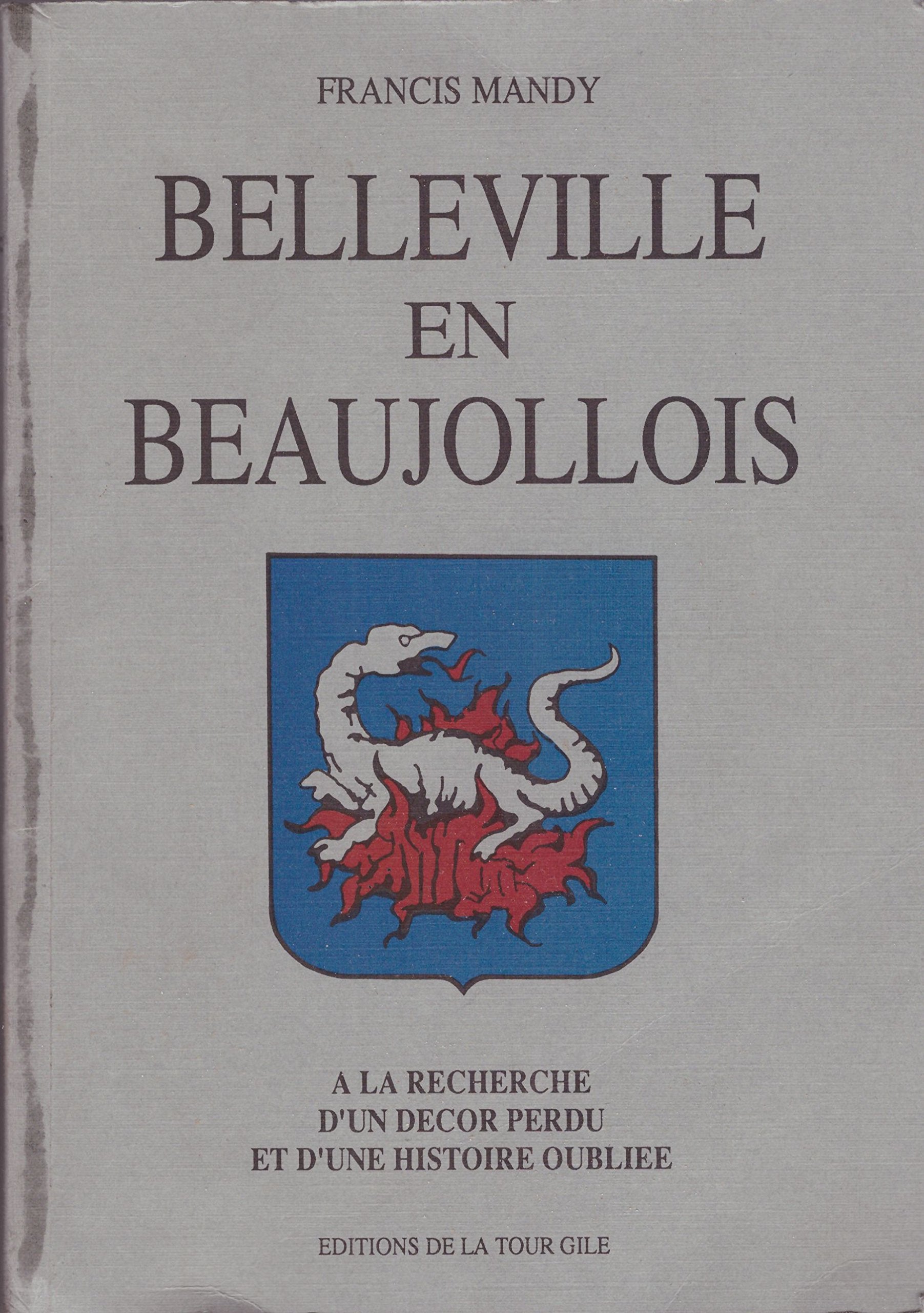 Belleville en Beaujollois : A la recherche d'un décor perdu et d'une histoire oubliée book