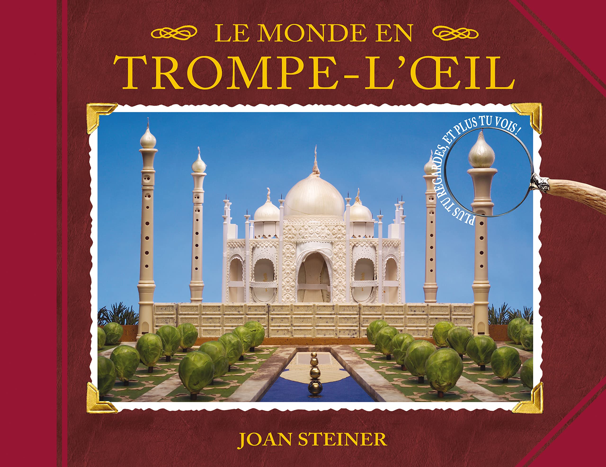 Le Monde en trompe l'oeil: Plus tu regardes et plus tu vois! book