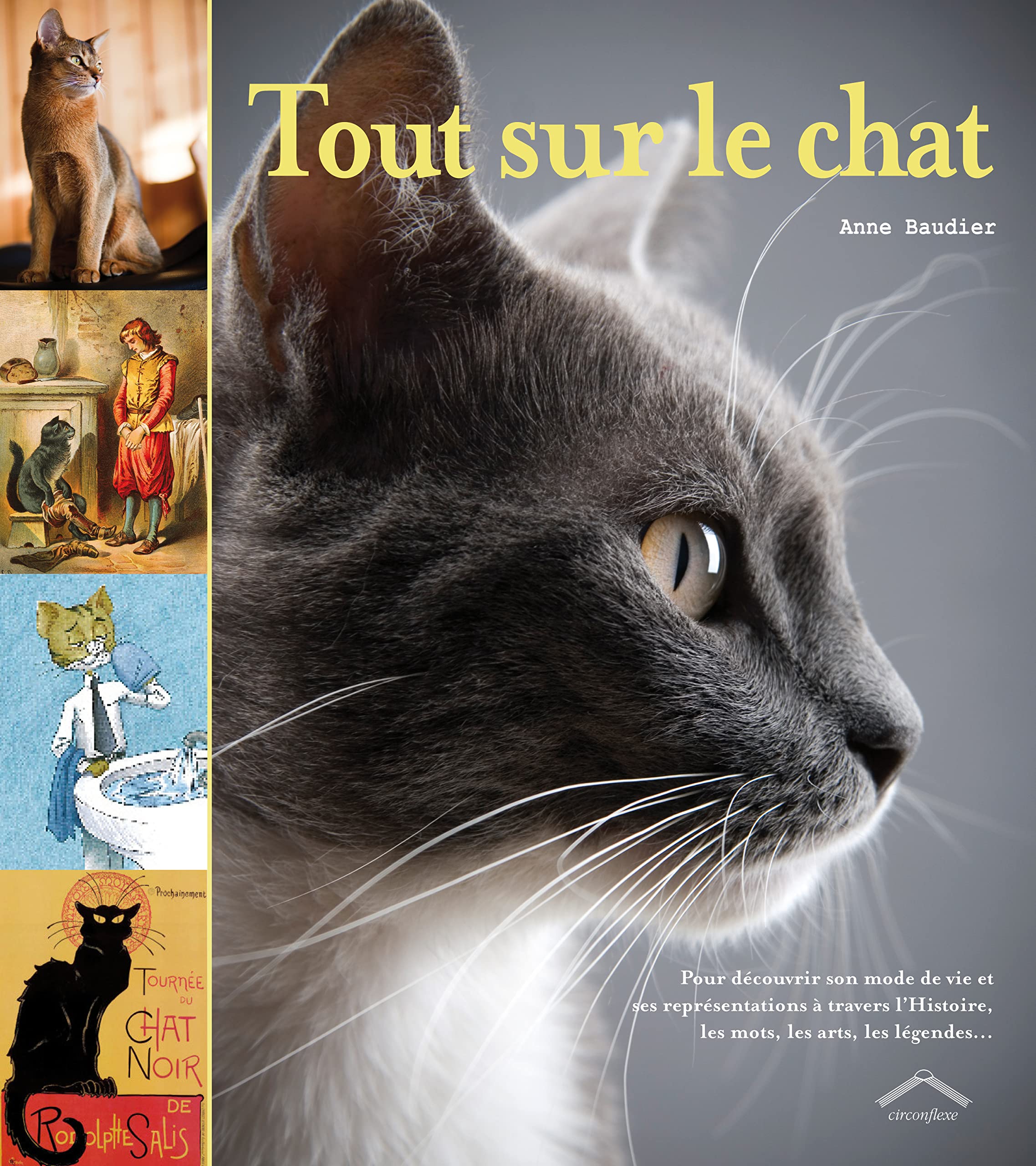 Tout sur le chat: pour découvrir son mode de vie, et ses représentations ... largeur 247 mm Non-fiction