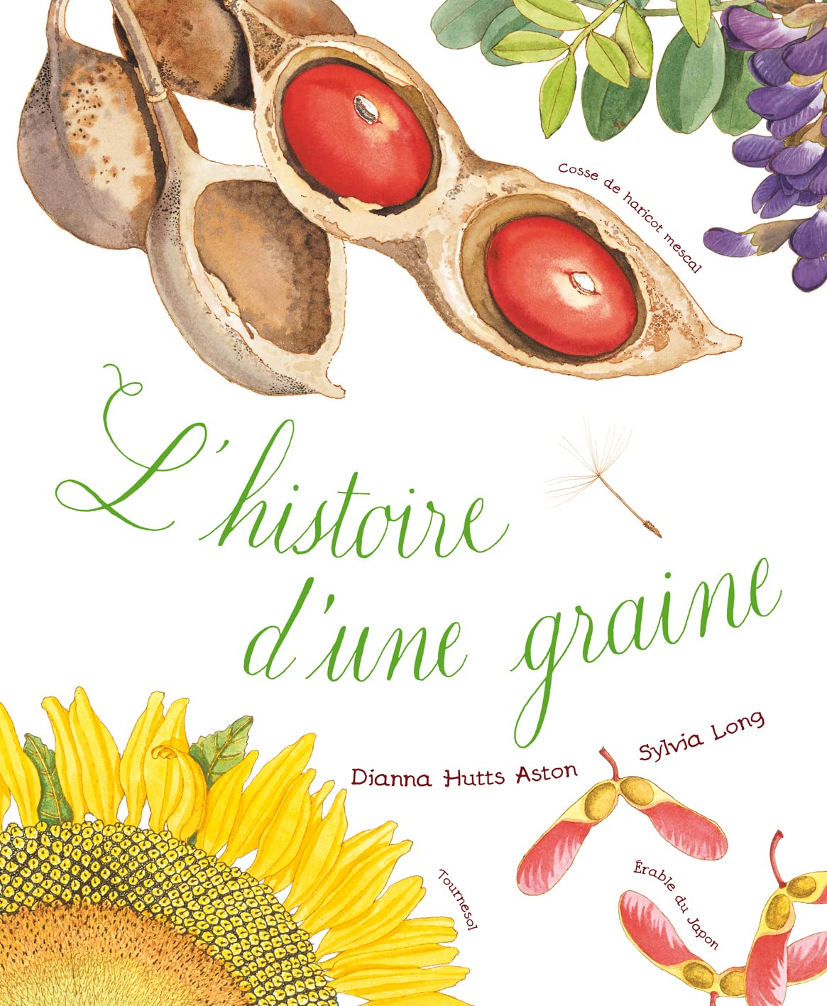 L'histoire d'une graine book