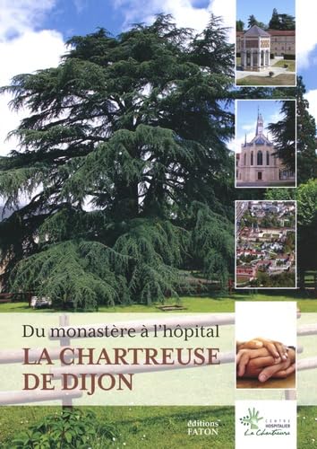 La Chartreuse de Dijon: Du monastère à l'hôpital, du XIVe siècle à 2021 book