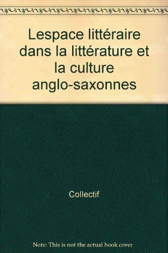 L'espace littéraire dans la littérature et la culture ango-saxonnes book