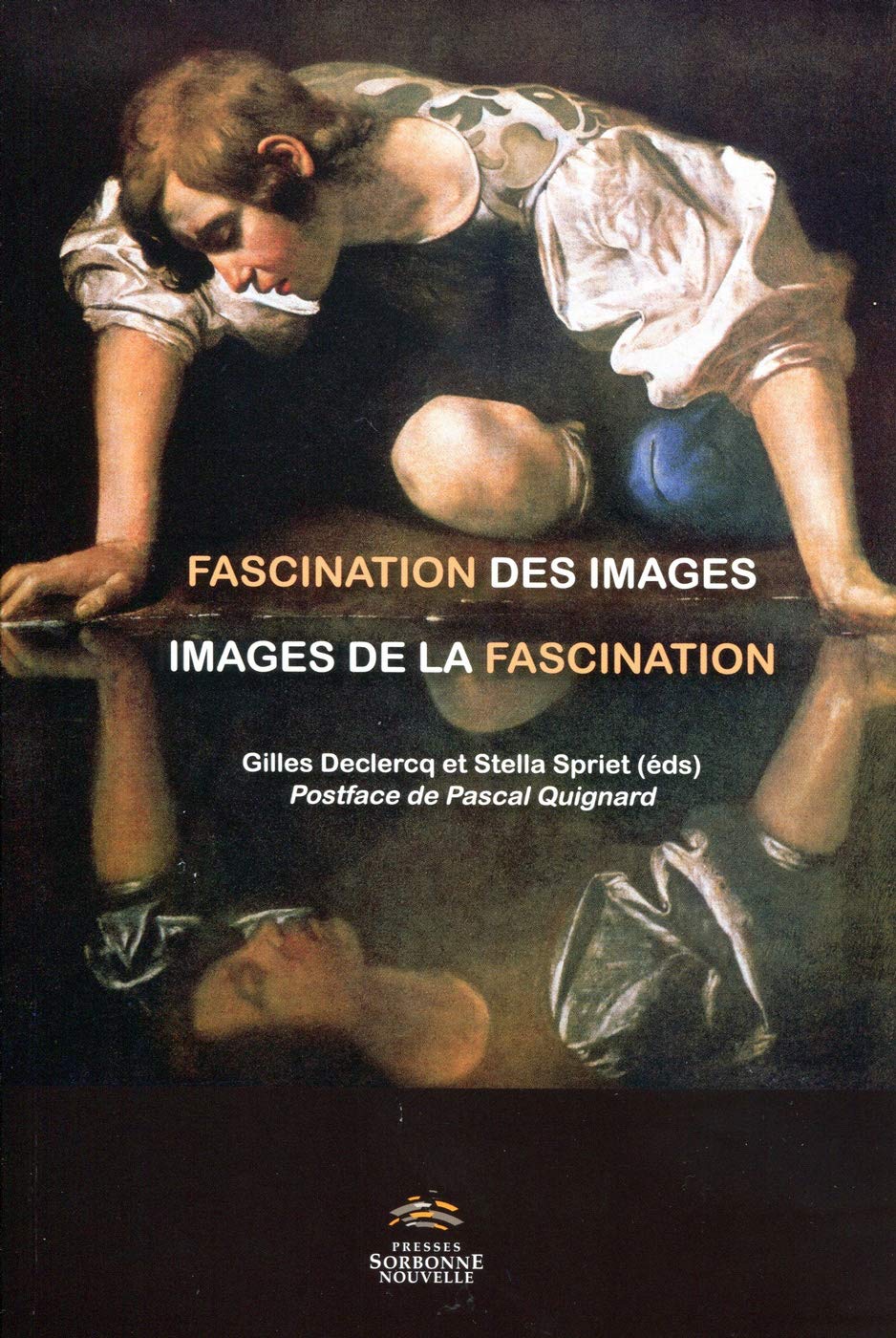 Fascination des Images, Images de la Fascination Contemporary literature