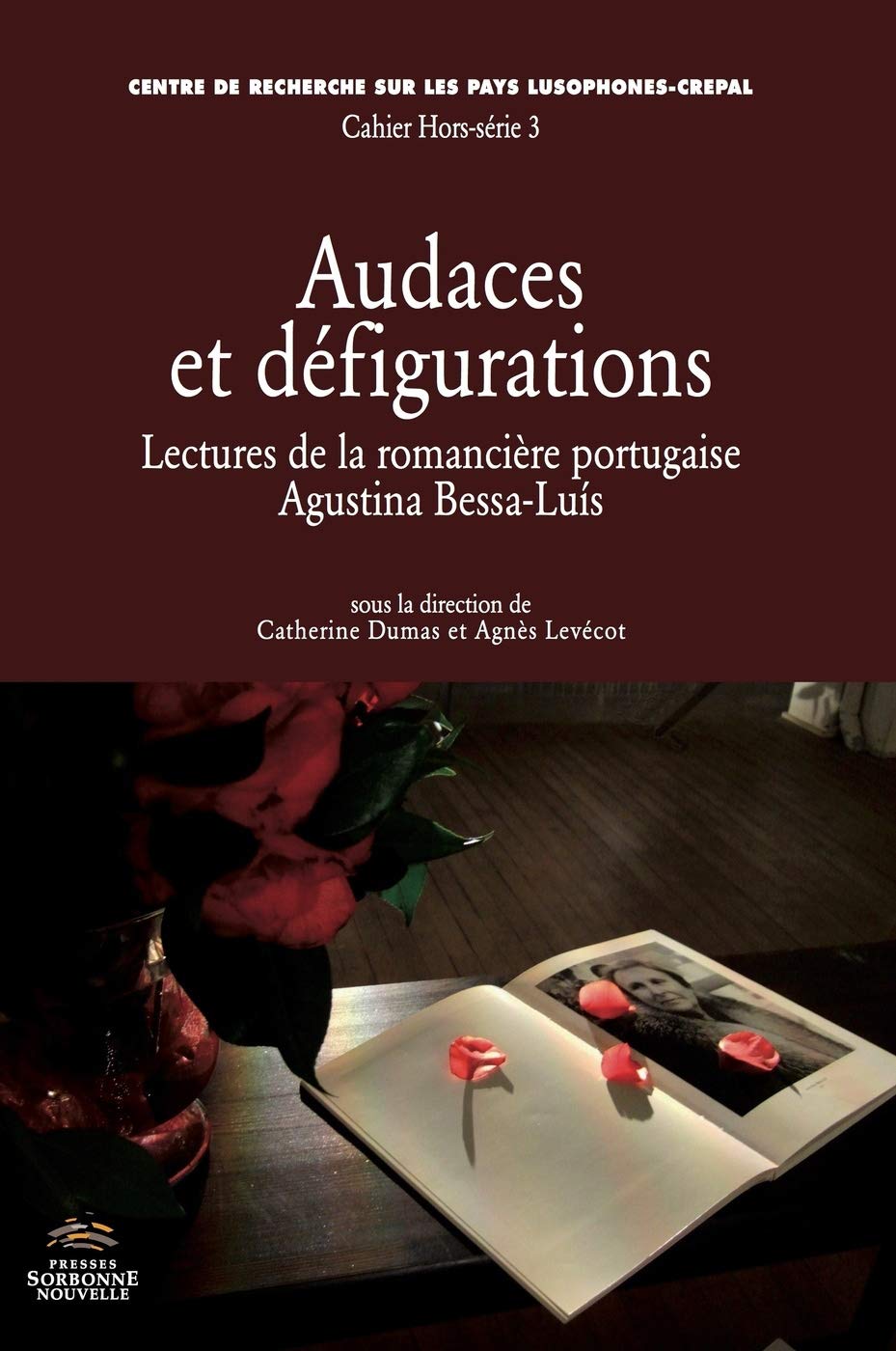 Audaces et défigurations. Lectures de la romancière portugaise Agusti book