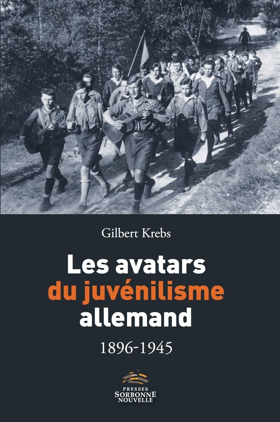 Avatars du juvenilisme allemand 1896-1945 book
