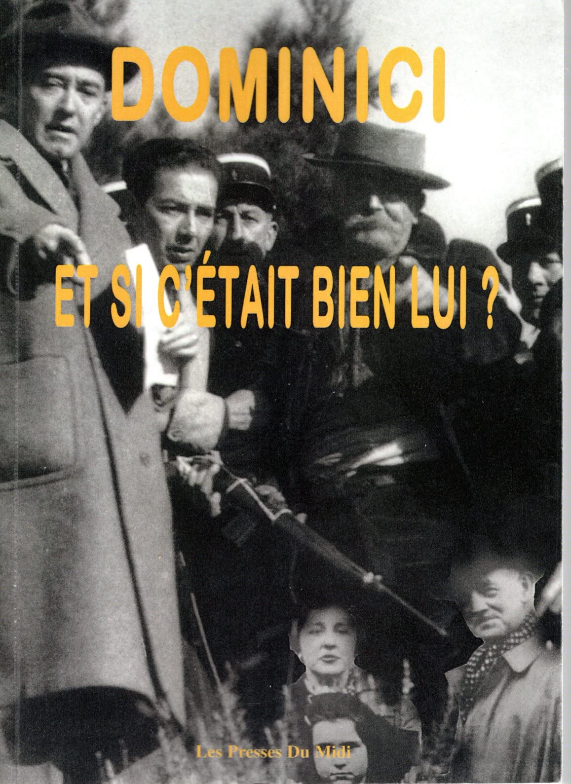 Dominici : Et si c'était bien lui ? book