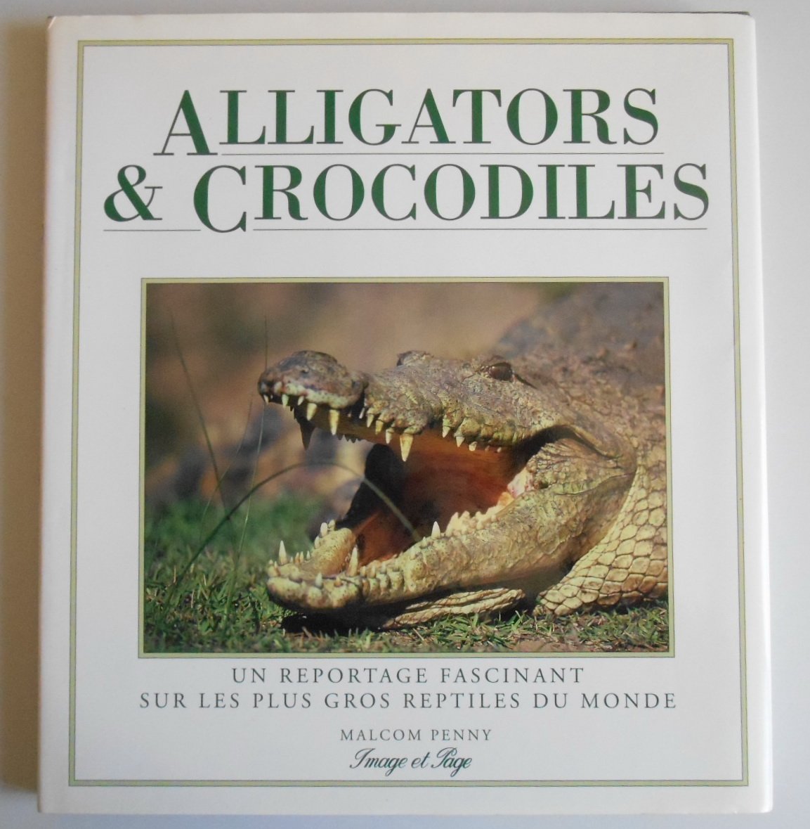 Alligators & crocodiles : un reportage fascinant sur les plus gros reptiles du monde Books
