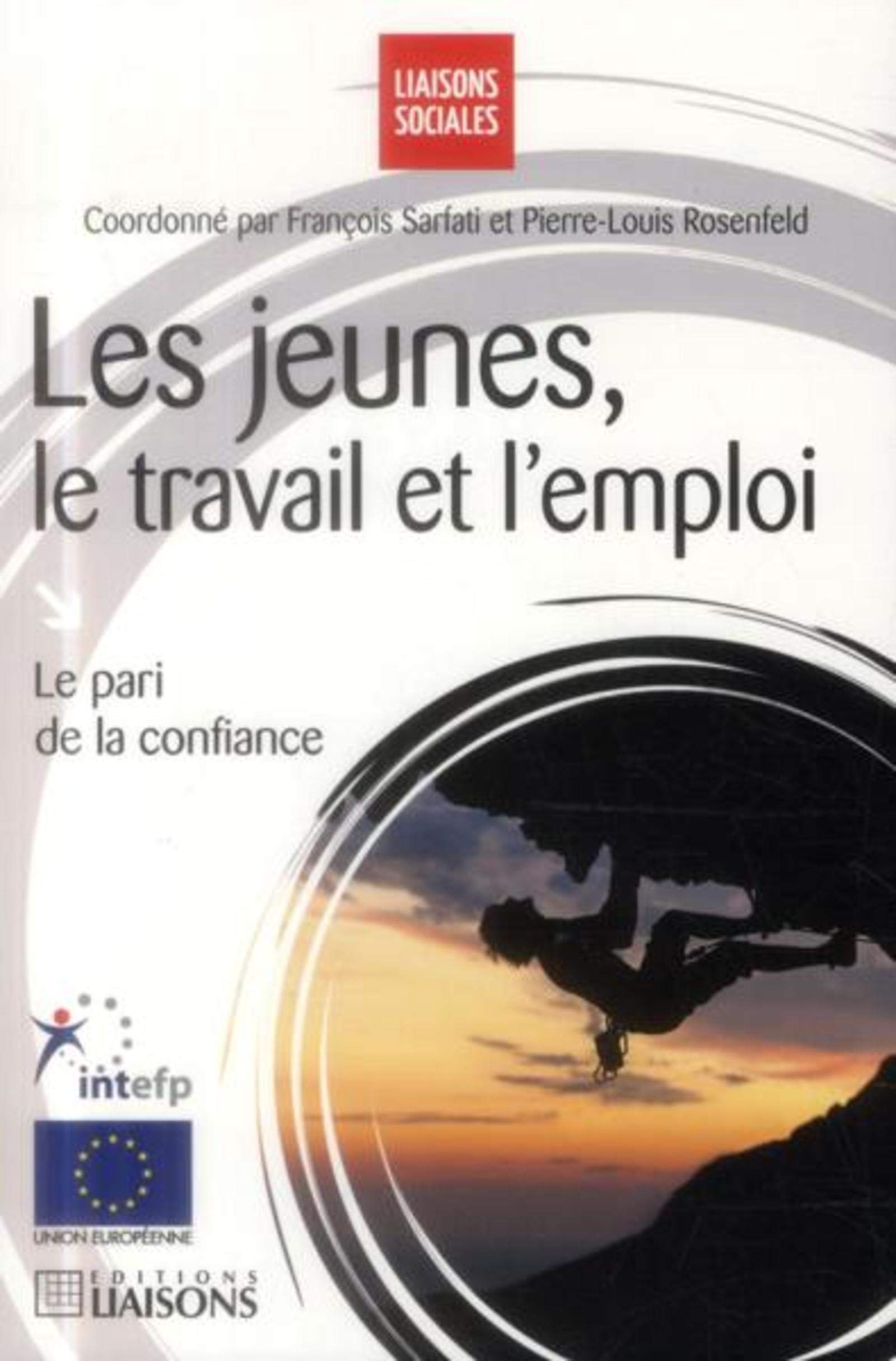 Les jeunes, le travail et l'emploi: Le pari de la confiance. book
