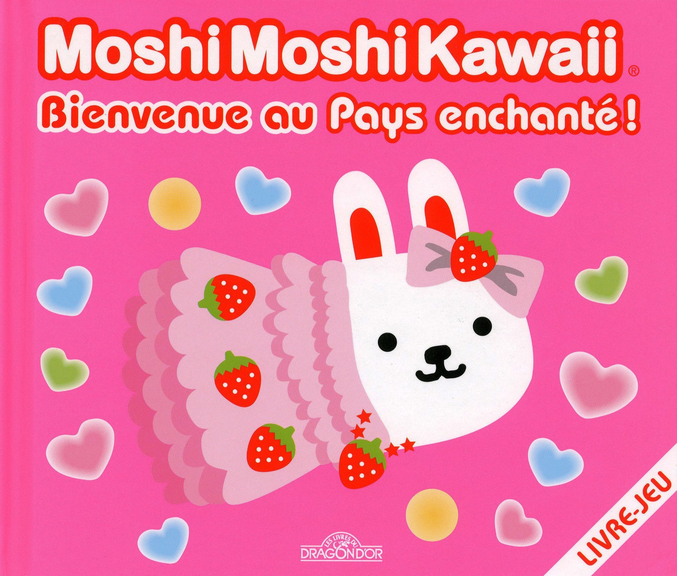 BIENVENUE AU PAYS ENCHANTE book