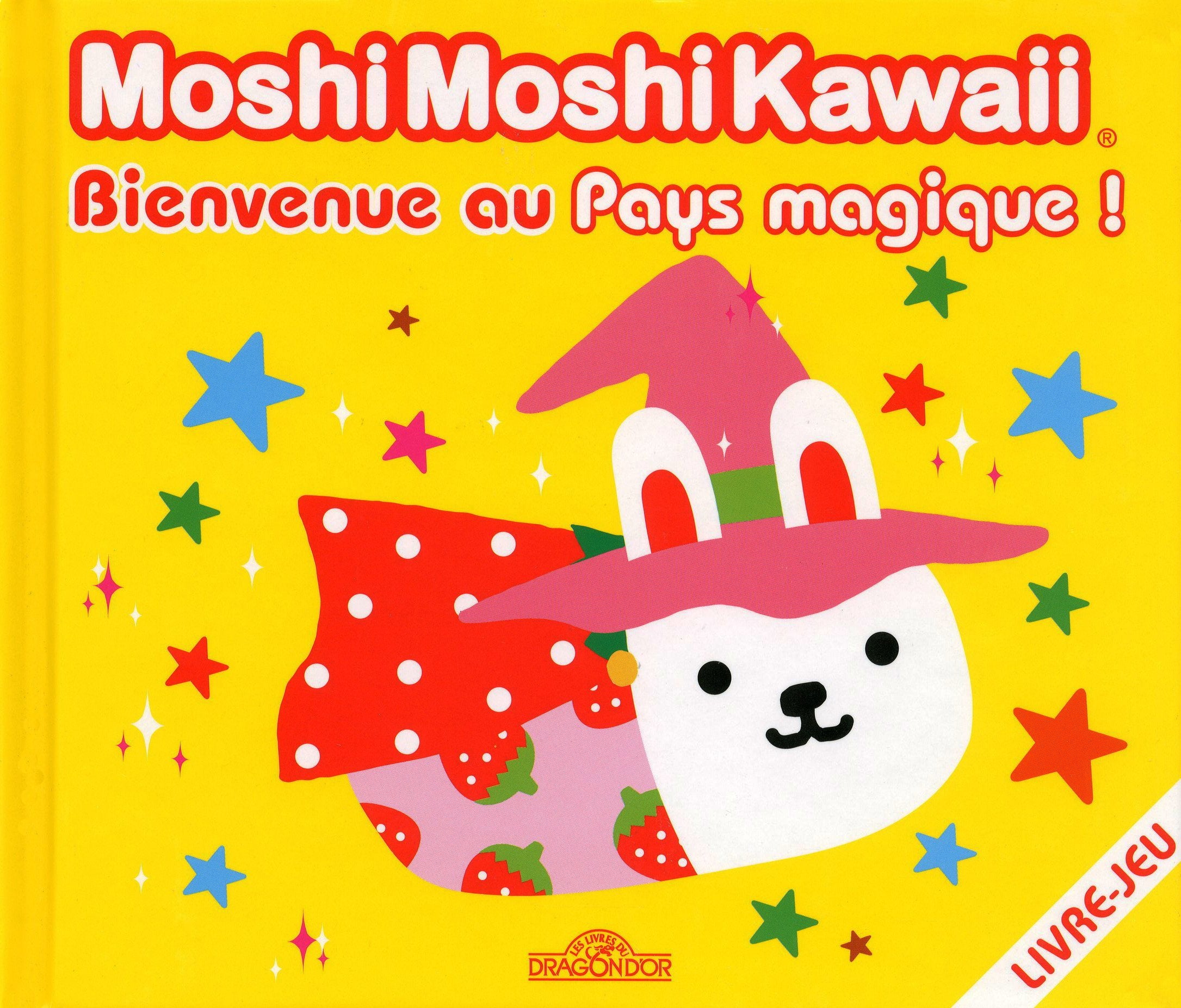 BIENVENUE AU PAYS MAGIQUE book