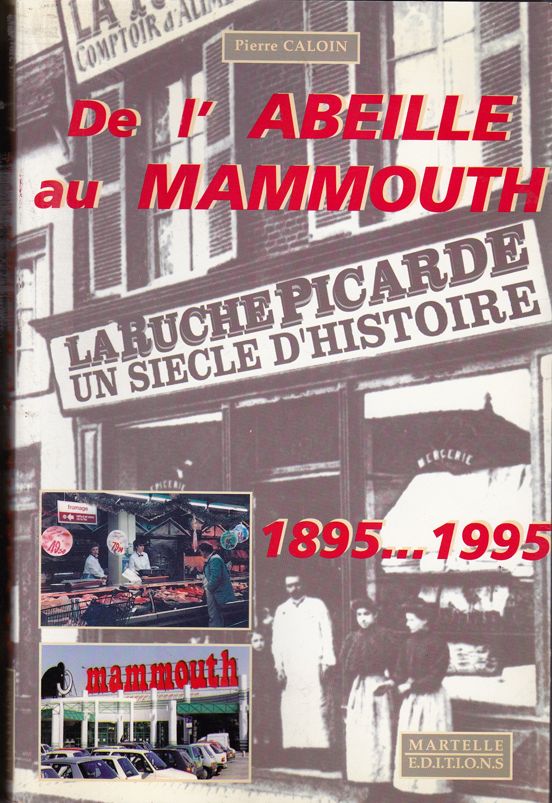 De l'abeille au mammouth : la Ruche Picarde, un siècle d'histoire, 1895-1995 book