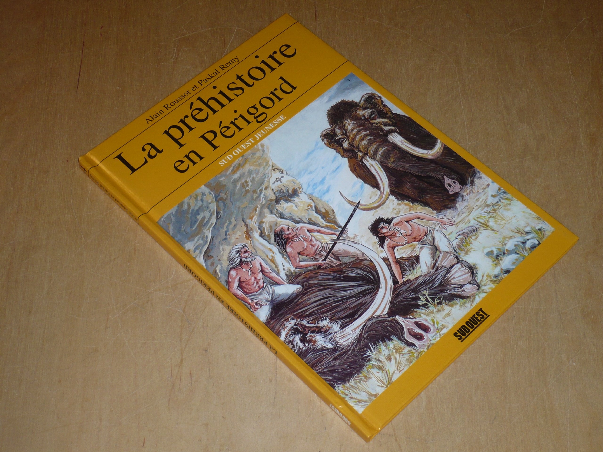 Vor- und Frühgeschichte des Perigord Books