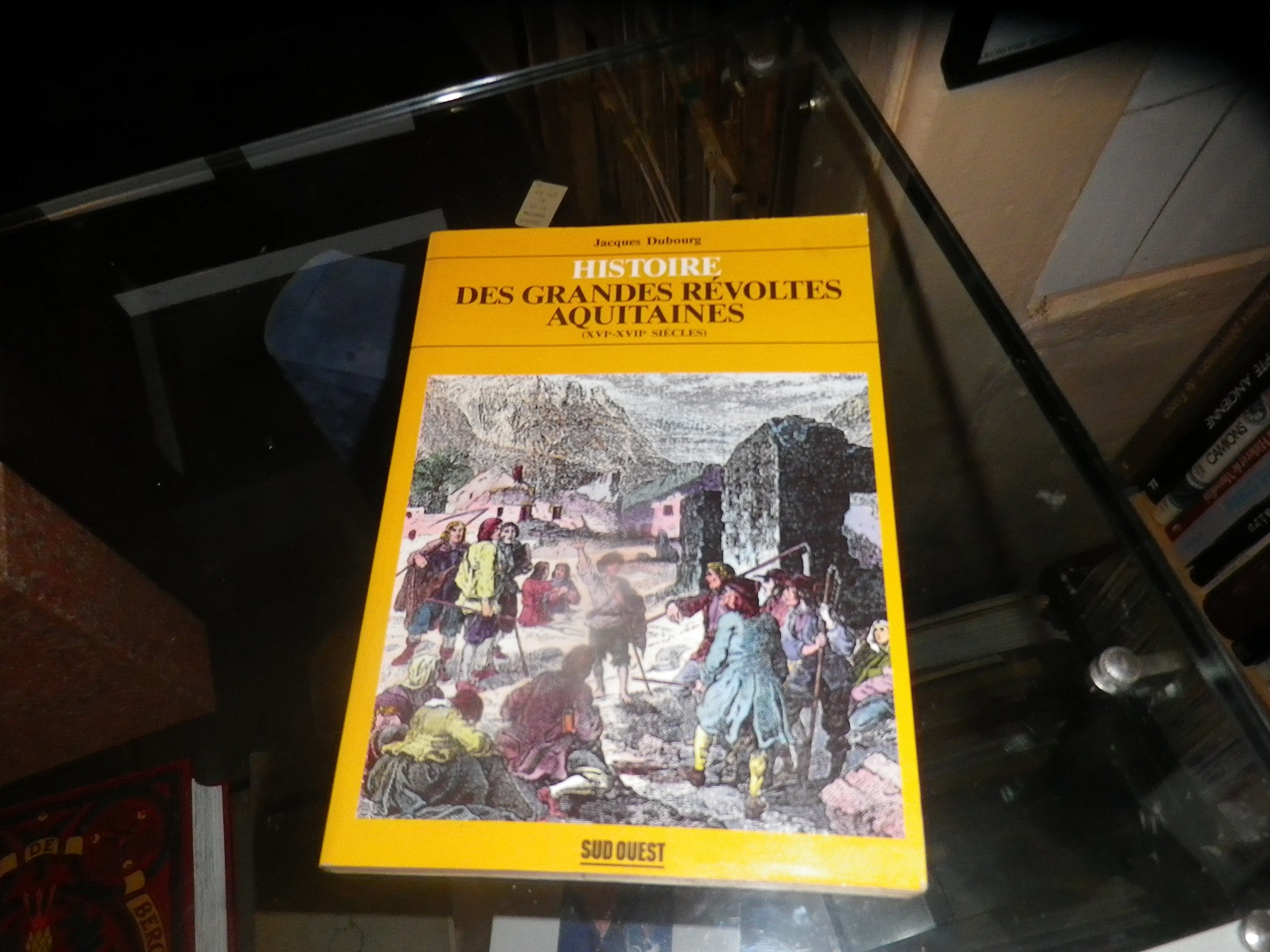 Histoire Des Grandes Revoltes Aquitaine Contemporary literature