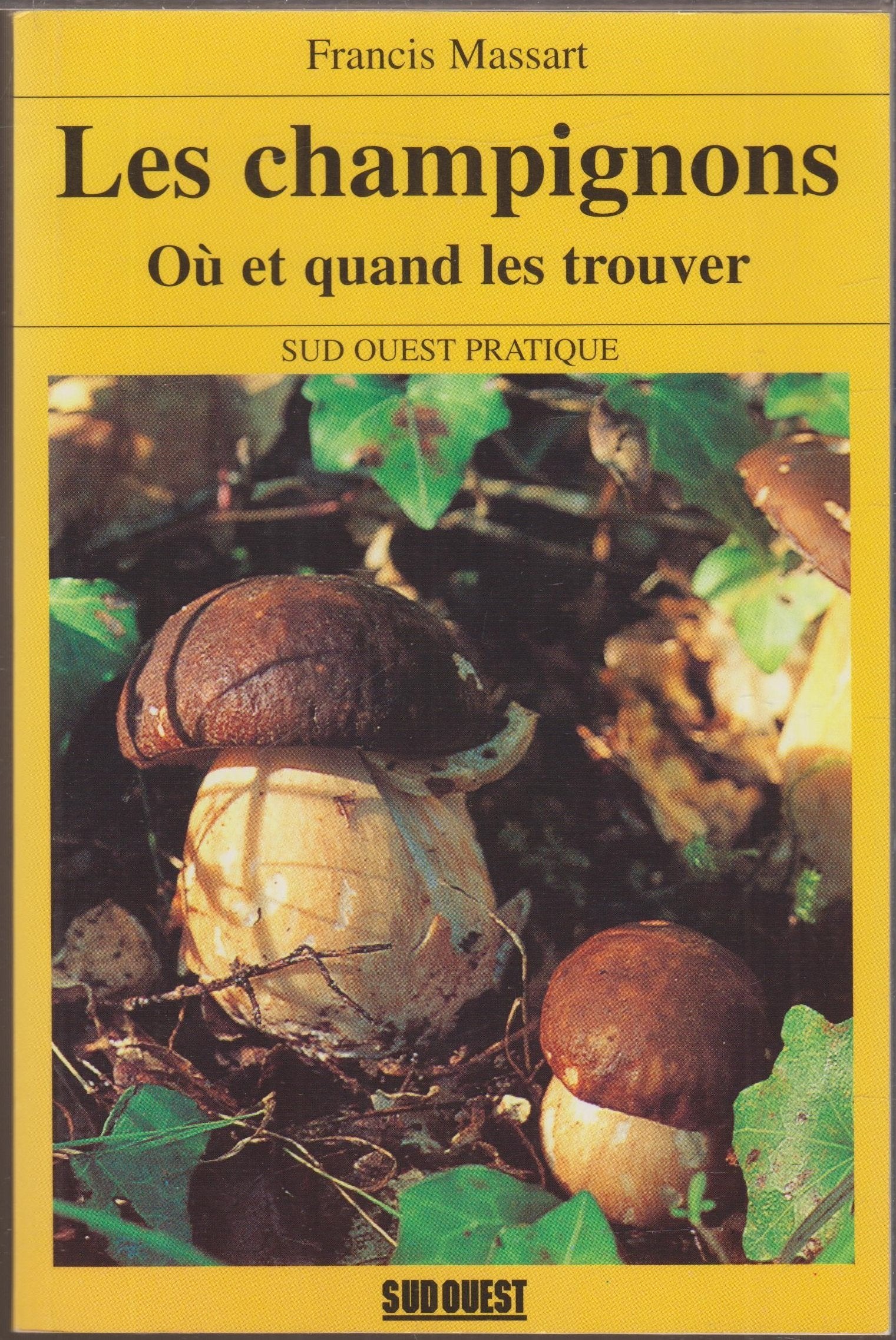 Les champignons : où et quand les trouver ? book