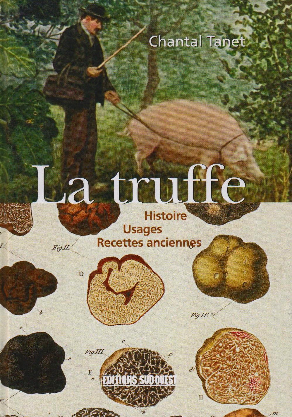Truffe (La): Histoire, Usages, Recettes anciennes Leisure, Home & Garden