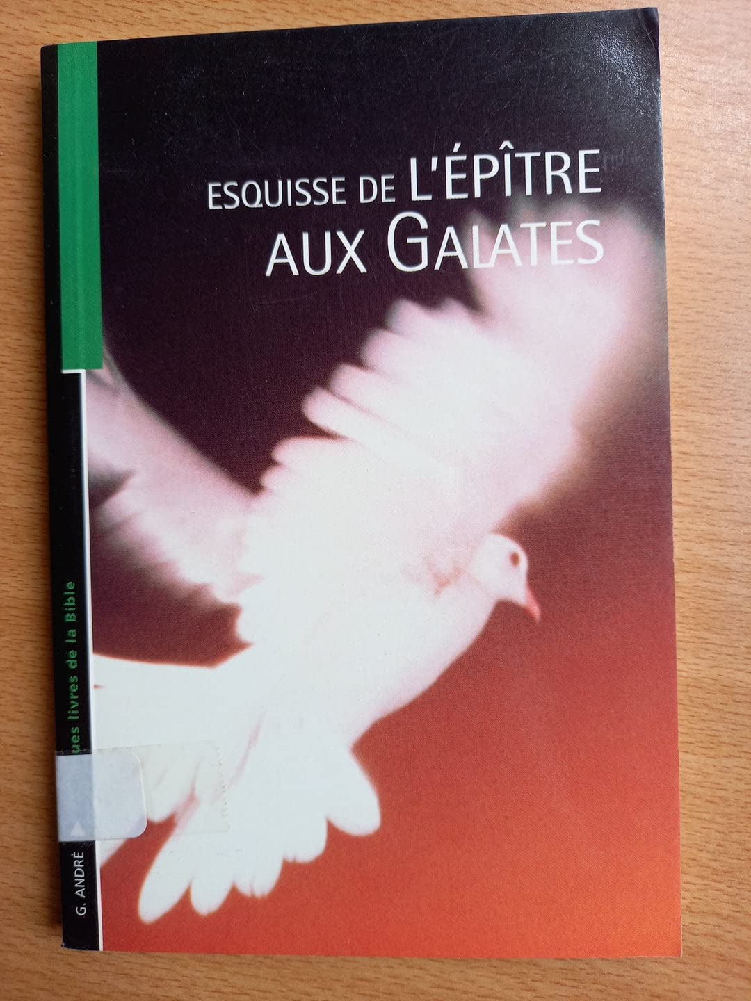 Esquisse de l'Épître aux Galates (Pour les jeunes croyants) book